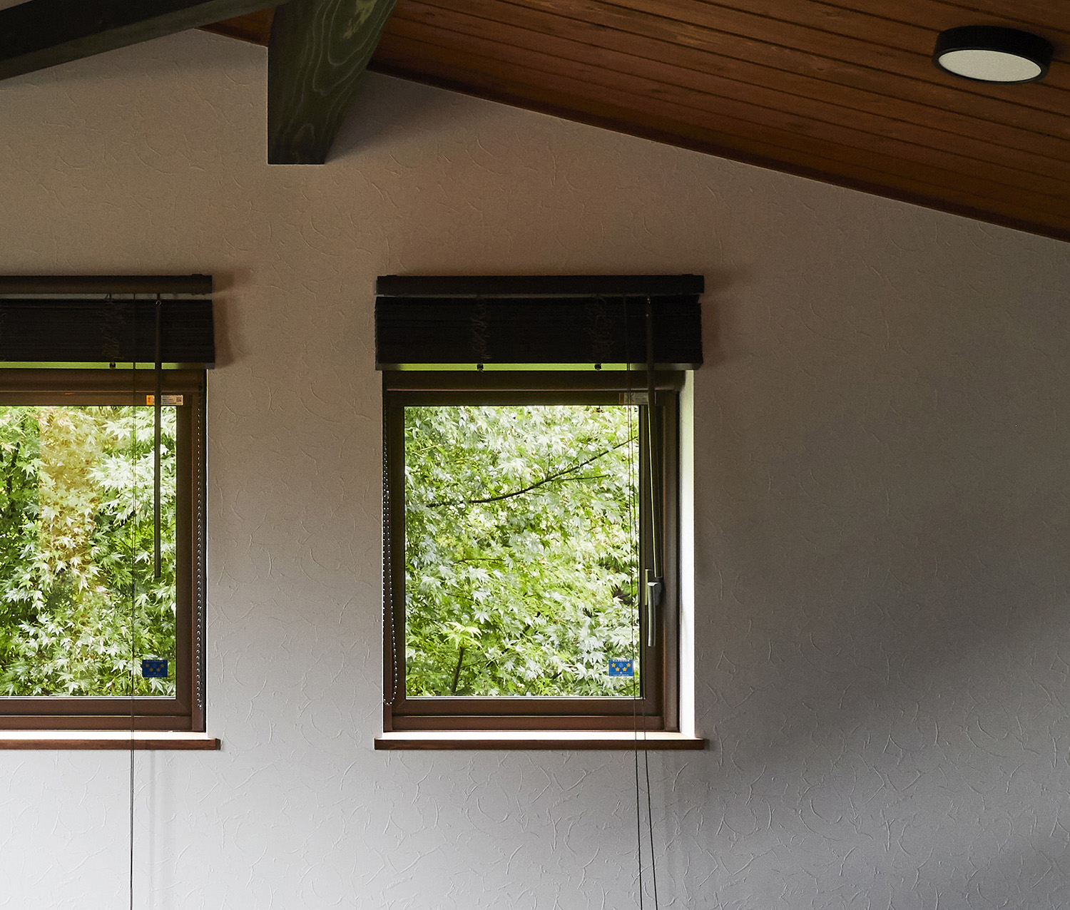 ほたて漆喰塗り壁